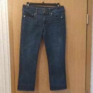American Eagle Artist Crop Jeans